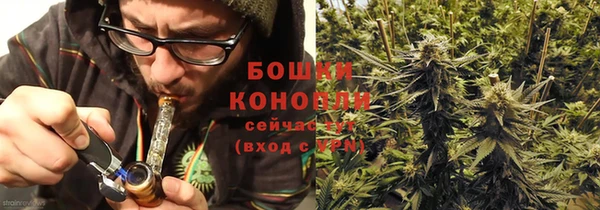 бутират Белокуриха