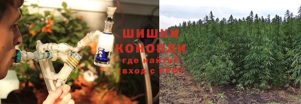 бутират Белокуриха